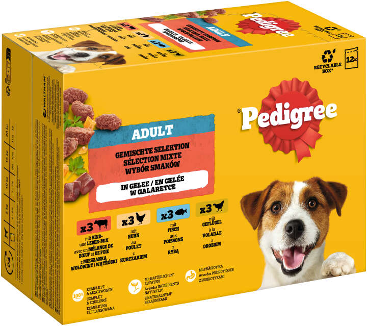 Pedigree Hunde-Nassfutter Adult Gemischte Selektion in Gelee
